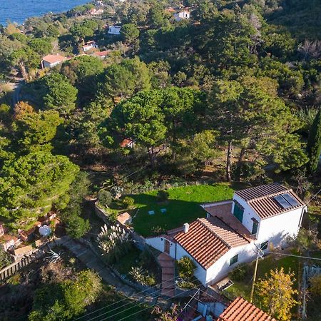Villa Caterina Quiete E Mare-Goelba SantʼAndrea Exterior foto